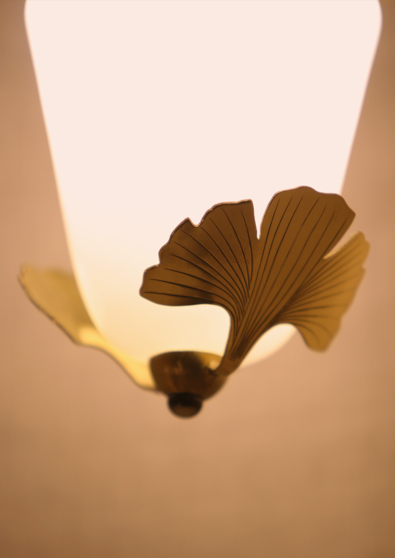 KIM JUDE Botanica Biloba suspension laiton LED