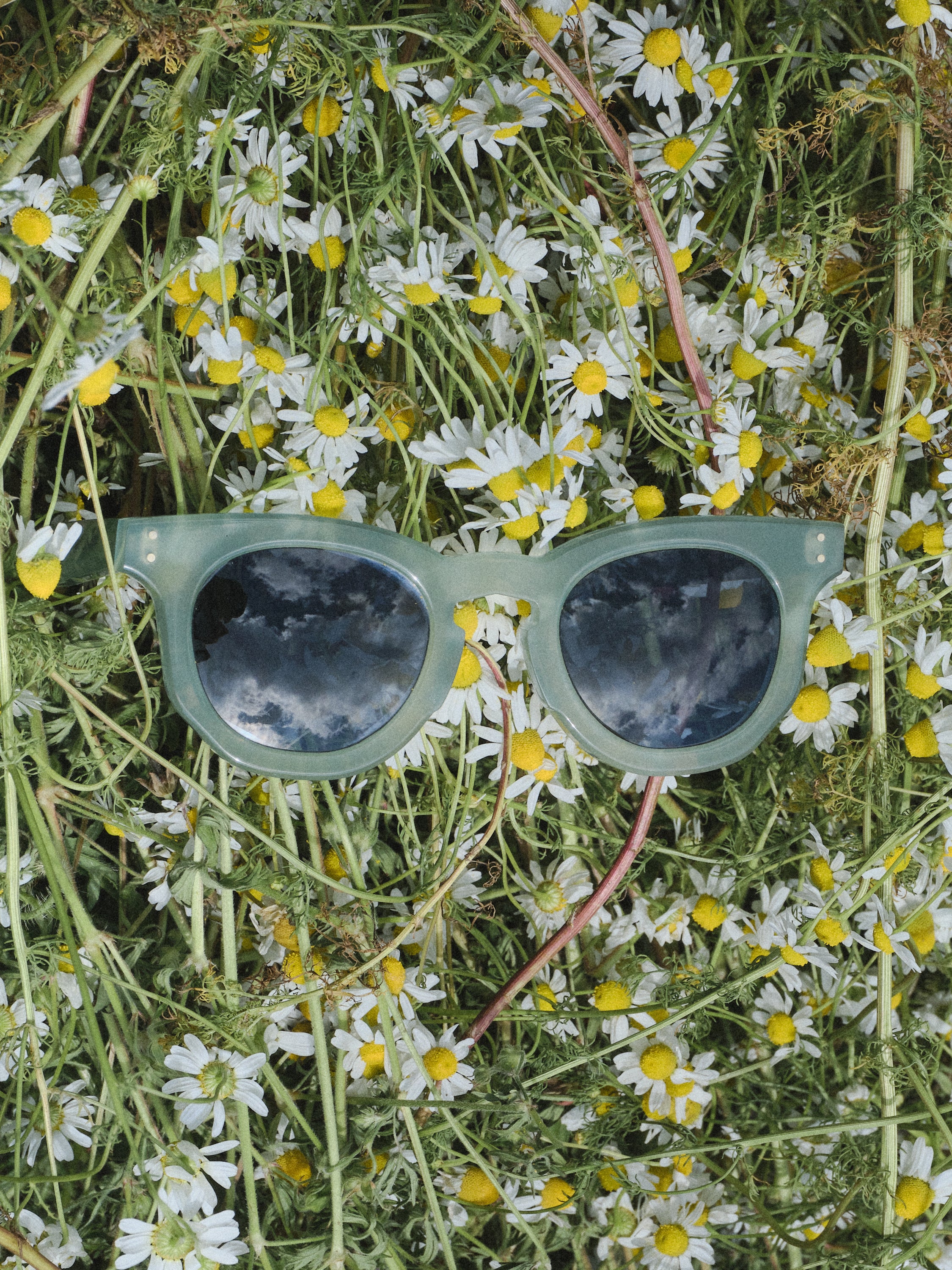 Christine Phung CP x Lassalle lunettes de soleil turquoise